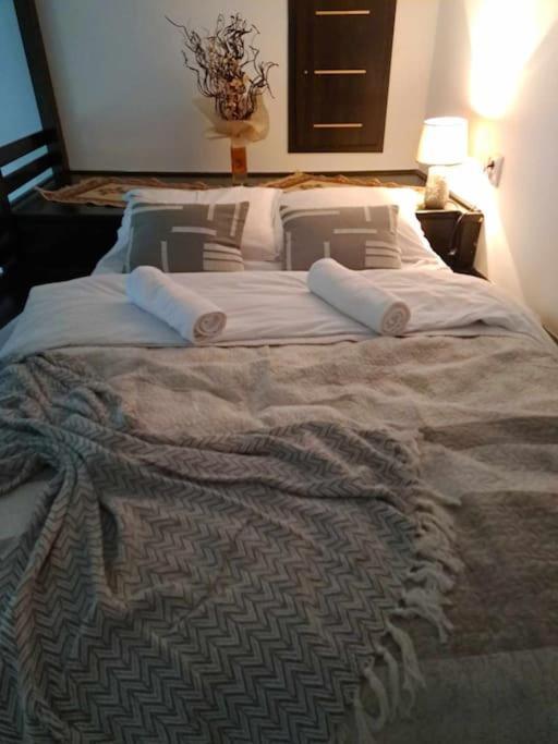 Sofia'S Home Comfy Studio In The Old Town Brassó Kültér fotó