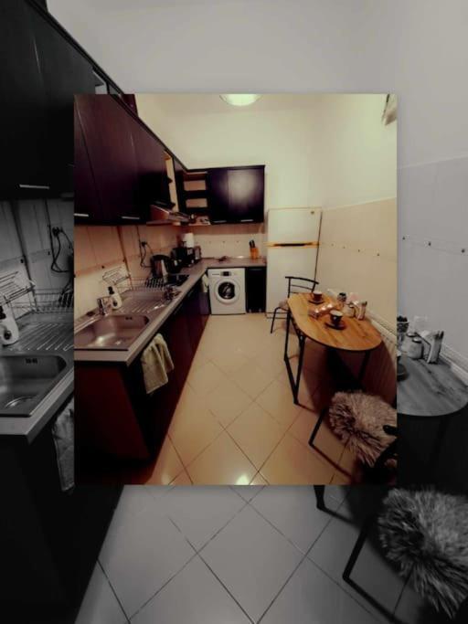 Sofia'S Home Comfy Studio In The Old Town Brassó Kültér fotó